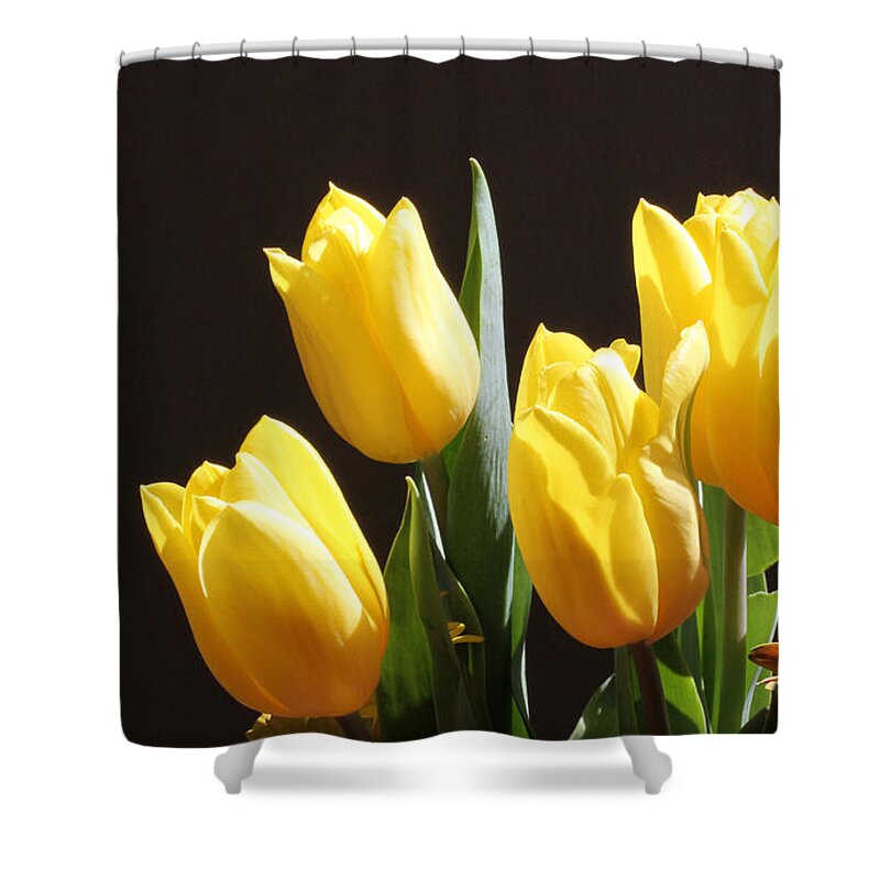 Yellow Shower Curtain featuring the photograph Yellow Tulips by Inspired Arts