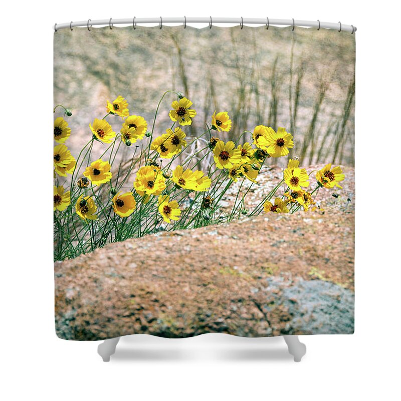 Debra Martz Shower Curtain featuring the photograph Yellow Wildflowers on the Rocks by Debra Martz