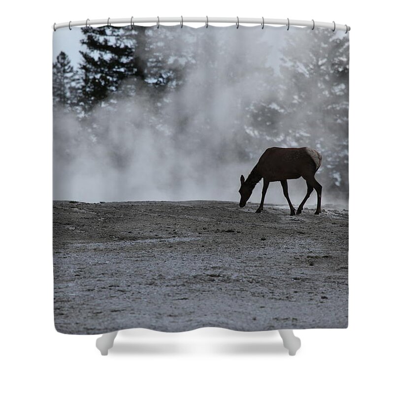Yellowstone National Park Shower Curtain featuring the photograph Yellowstone 5456 by Michael Fryd