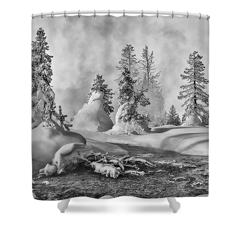 Yellowstone Shower Curtain featuring the photograph Yellowstone in Winter by Gary Lengyel