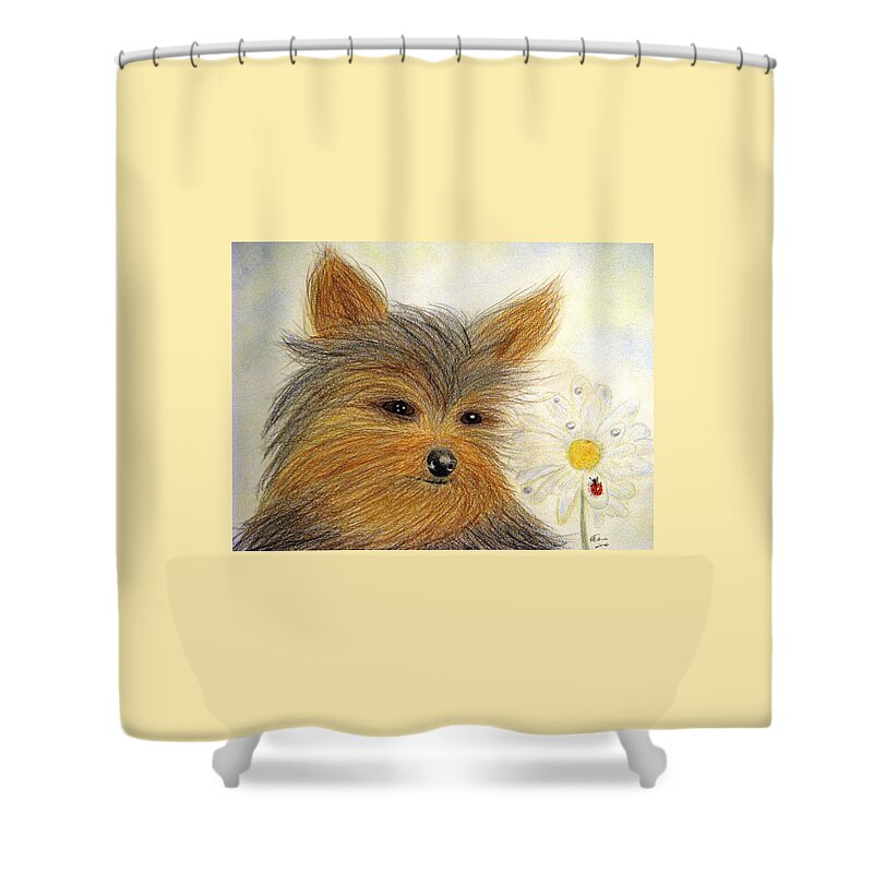 Yorkshire Terriers Shower Curtain featuring the drawing Yorkie Summer Fun by Angela Davies
