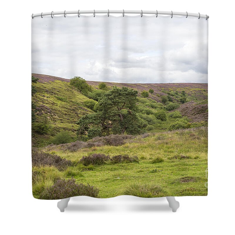 Lastingham Shower Curtain featuring the photograph Yorkshire moors with blossoming heather by Patricia Hofmeester