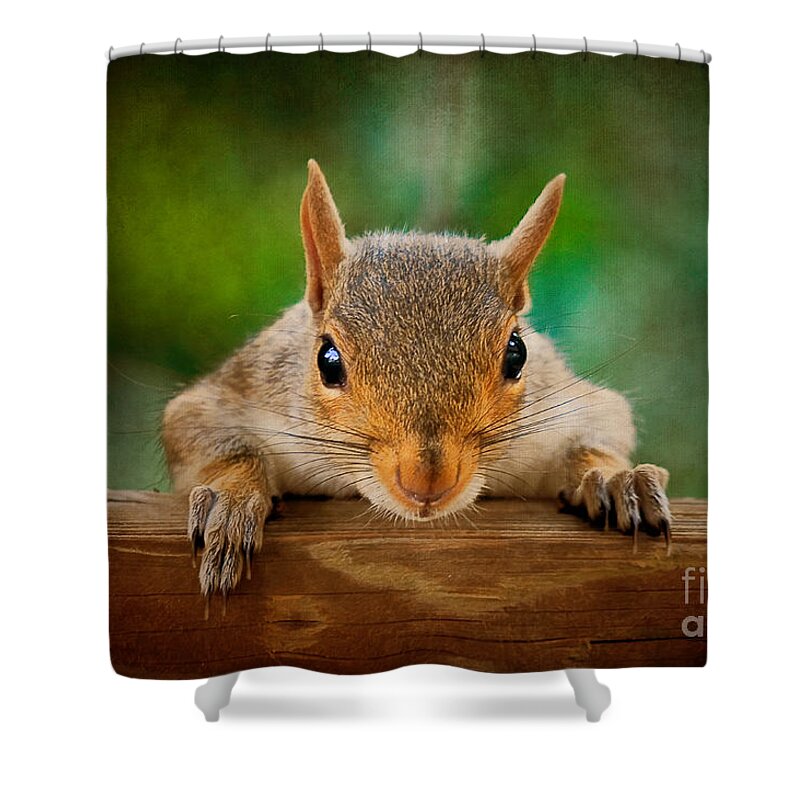 Squirrel Shower Curtain featuring the photograph You Rang by Lois Bryan