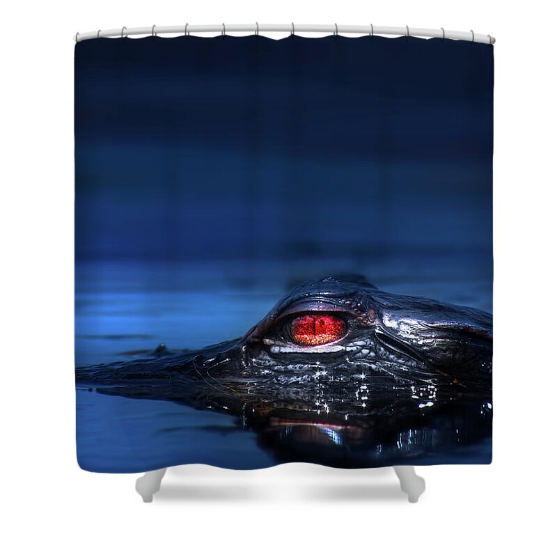 Alligator Shower Curtain featuring the photograph Young Alligator by Mark Andrew Thomas