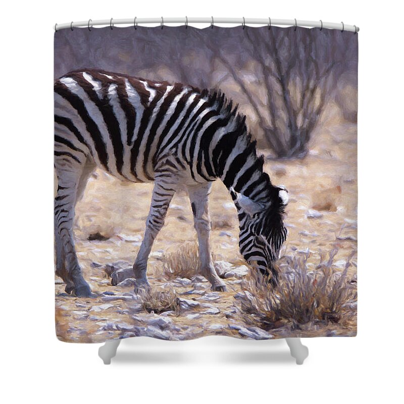 Zebra Shower Curtain featuring the digital art Young Plains Zebra by Ernest Echols