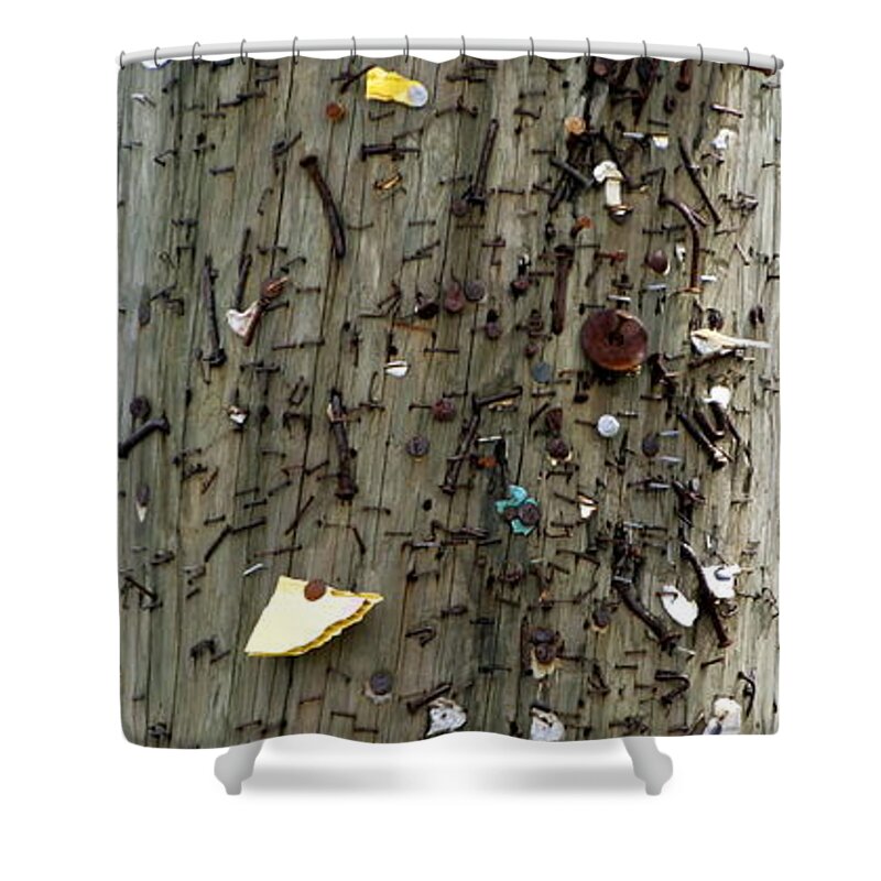 Vertical Photo Shower Curtain featuring the photograph Nailed it by Valerie Collins