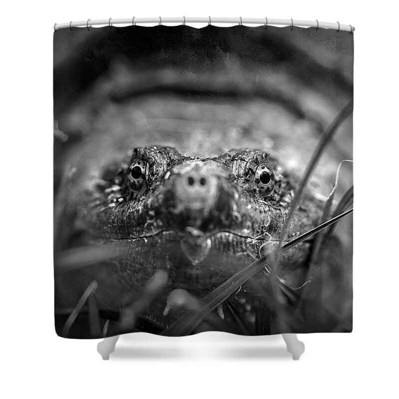Animal Shower Curtain featuring the photograph Your Move by Marvin Spates