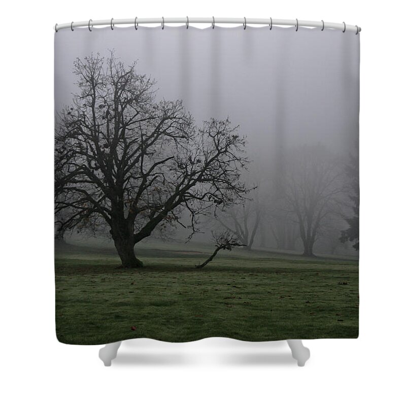 Fog Shower Curtain featuring the photograph Your Tail is Showing by Albert Seger