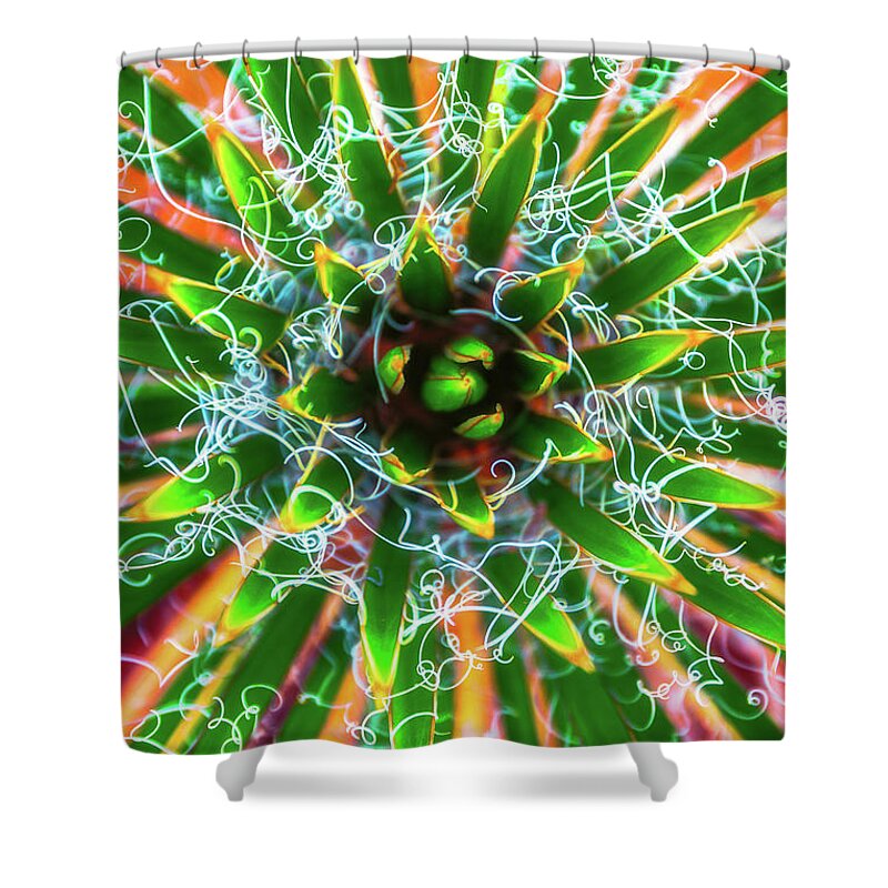 Abstract Shower Curtain featuring the photograph Yucca Sunrise by Darren White