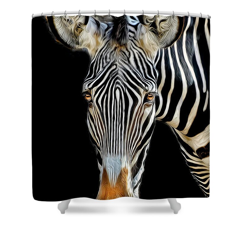 Zebra Shower Curtain featuring the photograph Zebra by Dave Mills