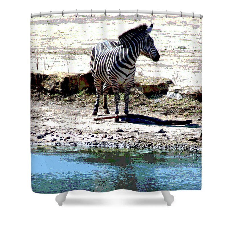 Zebra Shower Curtain featuring the mixed media Zebra poster by Steve Karol