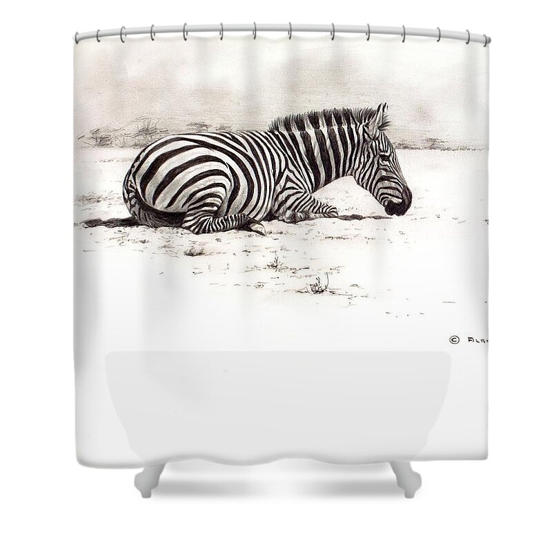 Wildlife Paintings Shower Curtain featuring the painting Zebra Sketch by Alan M Hunt