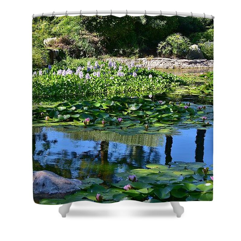 Linda Brody Shower Curtain featuring the photograph Zen-Like 10 Pond Flowers and Reflections by Linda Brody