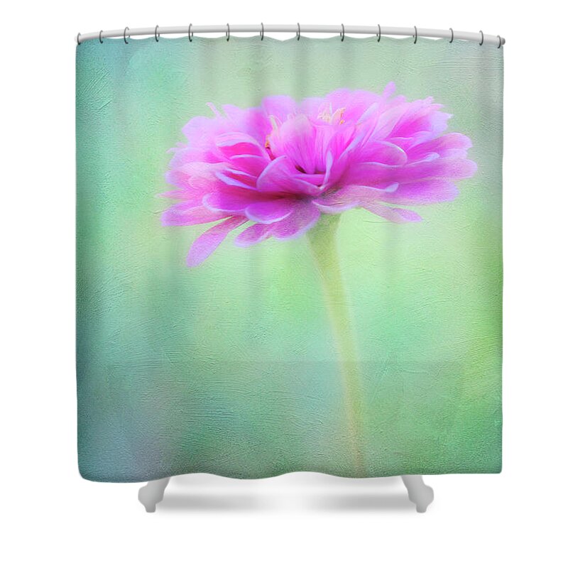 Zinnia Shower Curtain featuring the photograph Painted Pink Zinnia by Anita Pollak