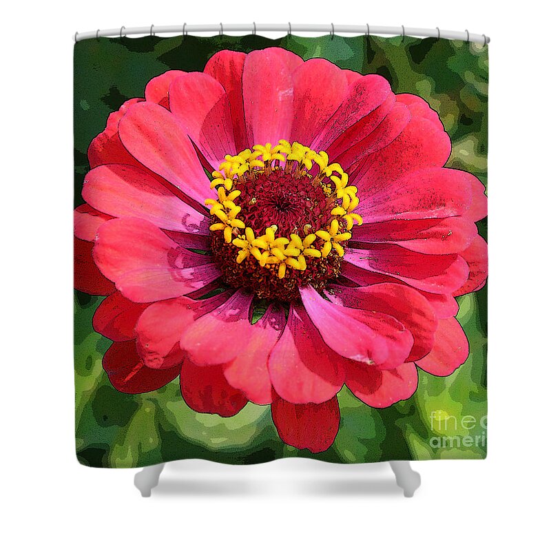Zinnia Shower Curtain featuring the photograph Zinnia by Jeanette French
