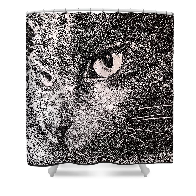 Stippling Shower Curtain featuring the drawing Kitty, Kitty by Jennefer Chaudhry