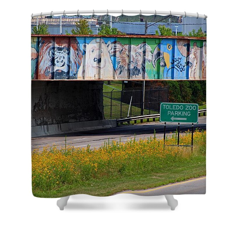 Toledo Shower Curtain featuring the photograph Zoo Mural by Michiale Schneider