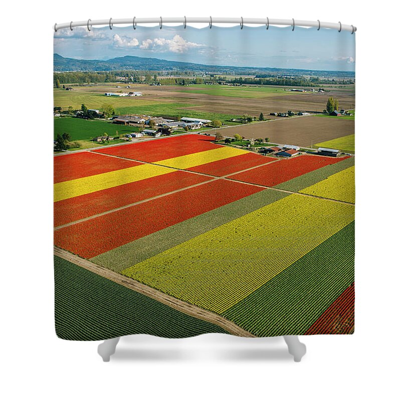 Scenics Shower Curtain featuring the photograph Aerial View Of Colorful Tulip Fields #1 by Pete Saloutos
