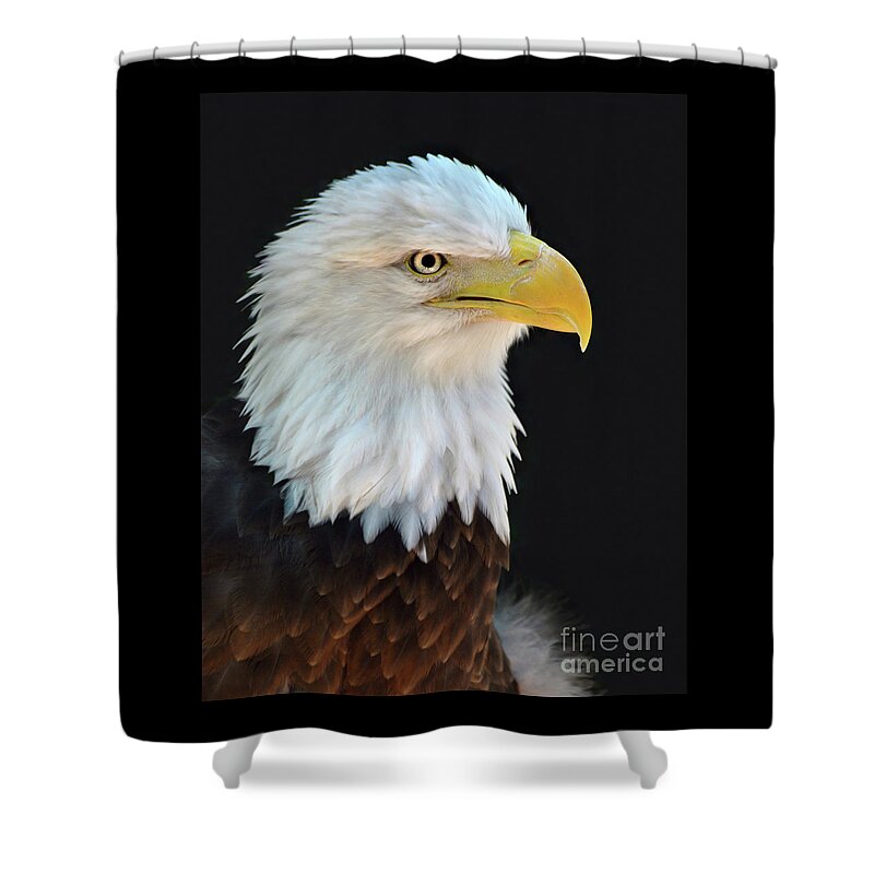 American Bald Eagle Shower Curtain featuring the photograph American Bald Eagle #2 by Savannah Gibbs