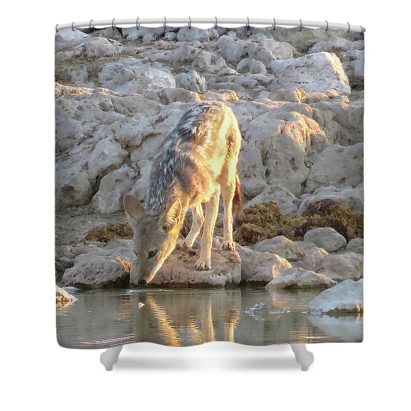 Africa Shower Curtain featuring the photograph At the water hole ... by Eric Pengelly