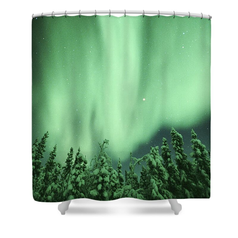 Snow Shower Curtain featuring the photograph Aurora Borealis Northern Lights Over #1 by Kevin Schafer