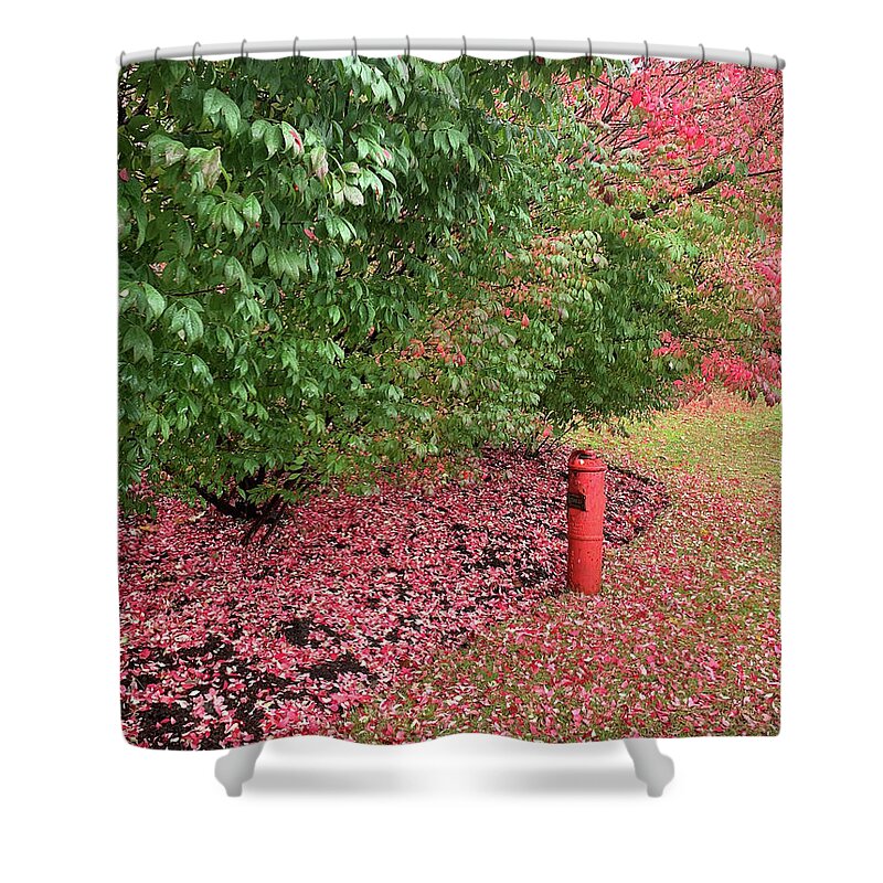 Autumn Shower Curtain featuring the photograph Autumn Leaves #1 by Geoff Jewett