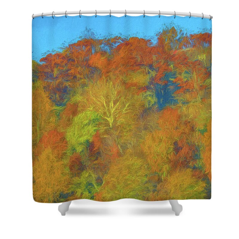 Autumn Shower Curtain featuring the photograph Autumn on Garret Mountain #1 by Alan Goldberg