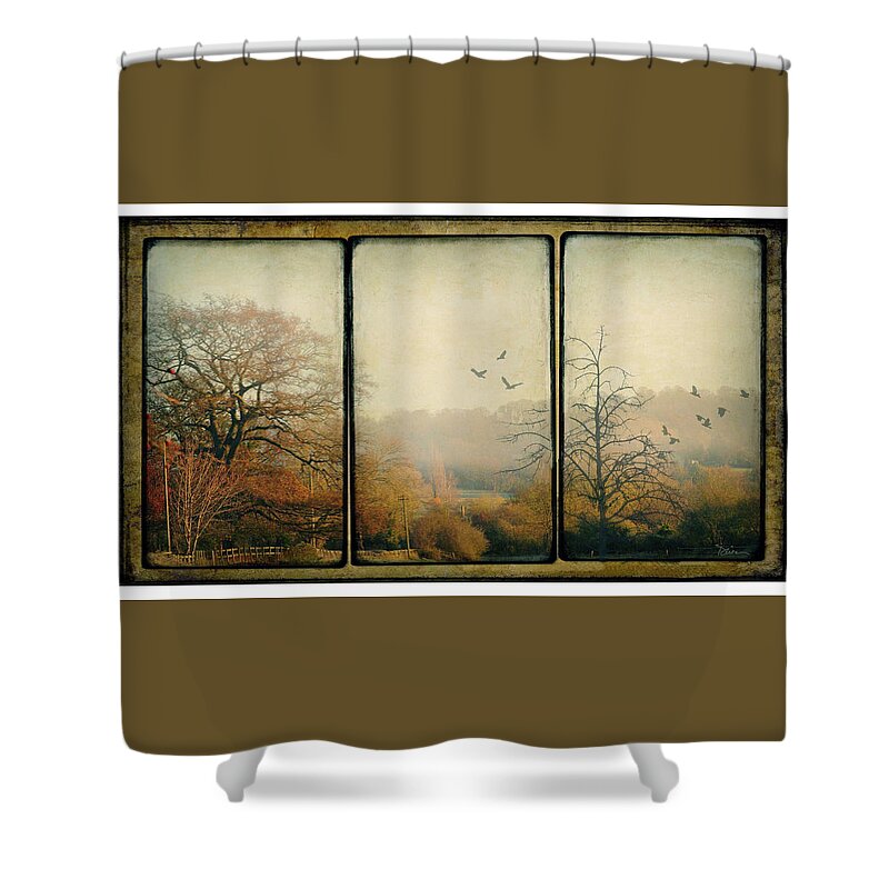 Triptych Shower Curtain featuring the photograph Autumn by Peggy Dietz