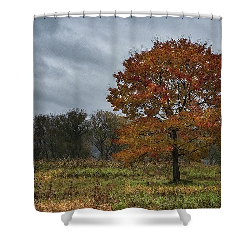 New York Shower Curtain featuring the photograph Autumn Shades by Robert Fawcett