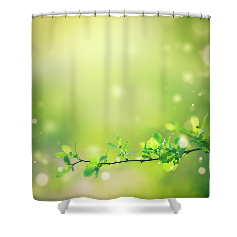 Scenics Shower Curtain featuring the photograph Beautiful Nature by Jeja