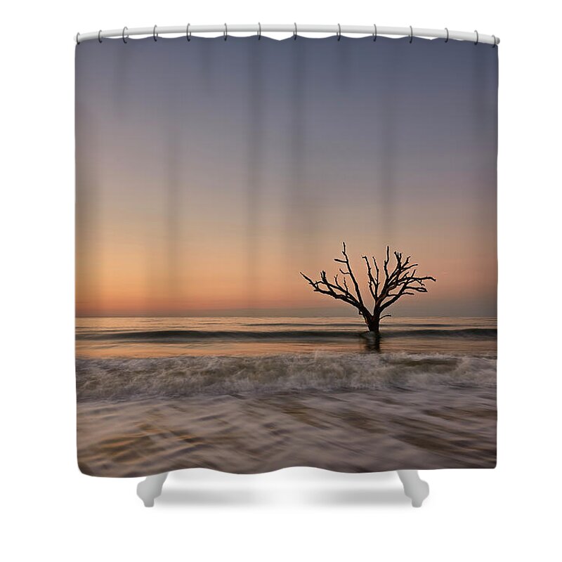 Decor Shower Curtain featuring the photograph Botany Bay Tree #1 by Jon Glaser