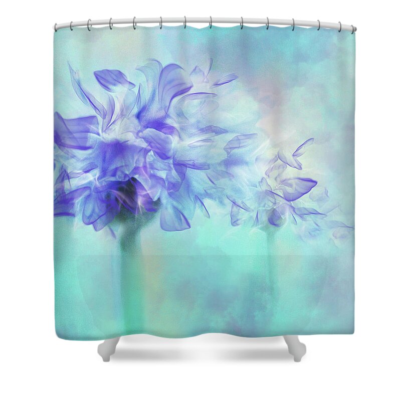 Connie Handscomb Shower Curtain featuring the photograph Breezing Through #2 by Connie Handscomb