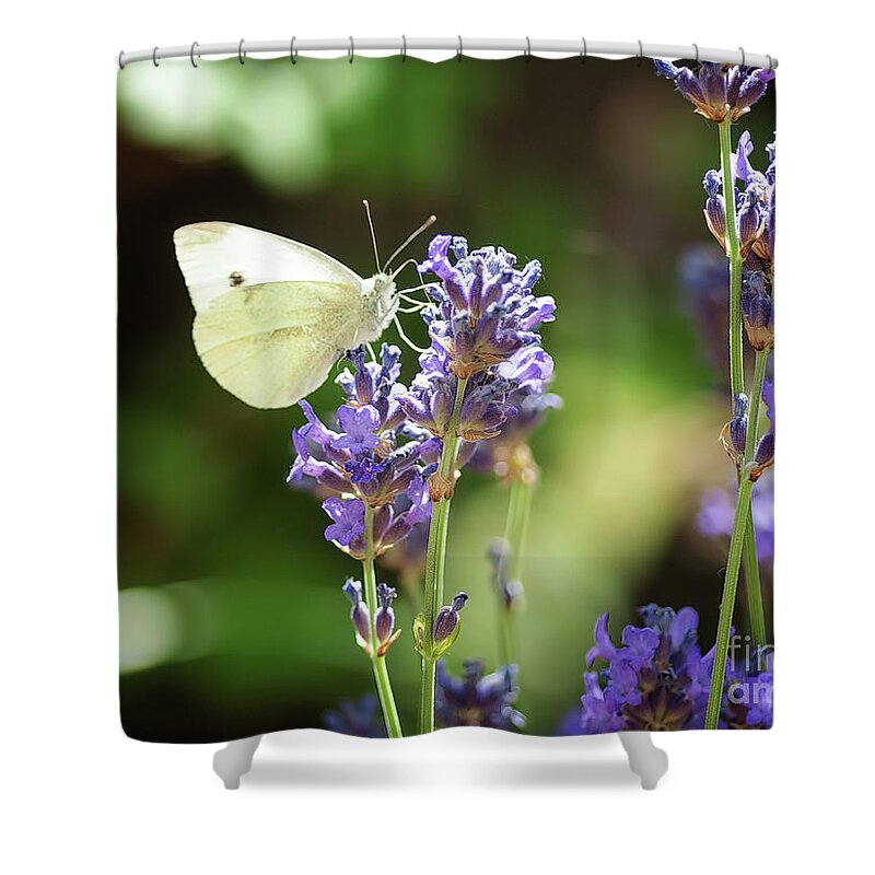 Macro Shower Curtain featuring the photograph Butterfly by Mariusz Talarek