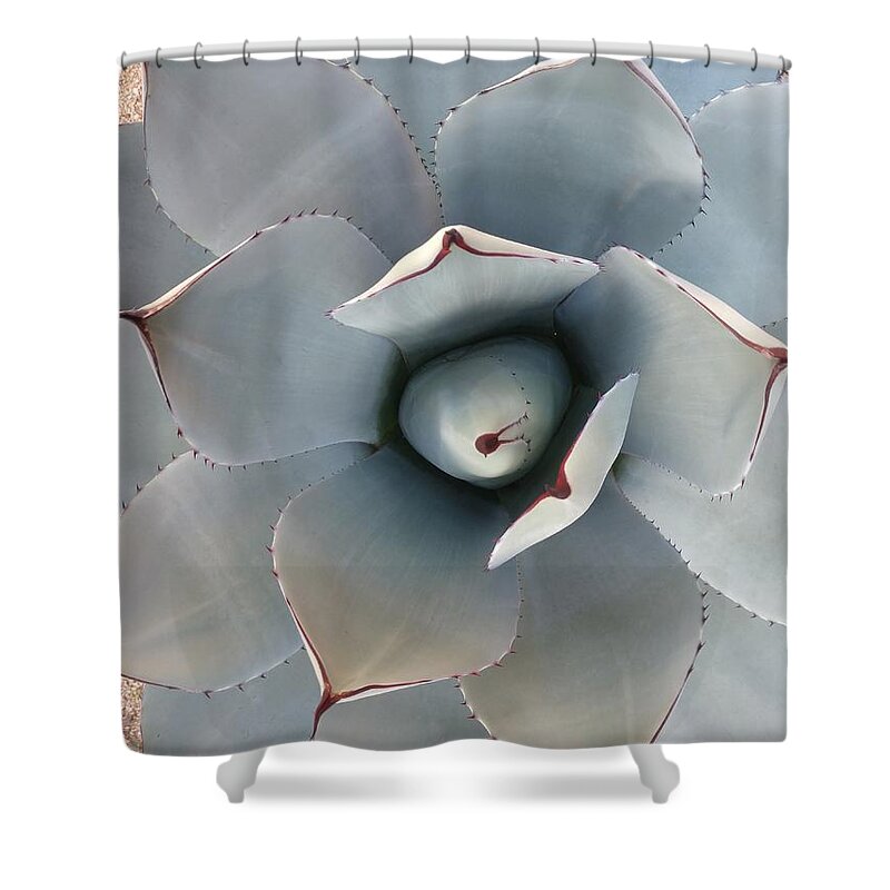 Cactus Shower Curtain featuring the photograph Cactus, if, you, can #1 by Scott S Baker