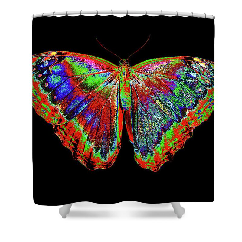 Insect Shower Curtain featuring the photograph Colorful Butterfly Design Against Black #1 by Darrell Gulin