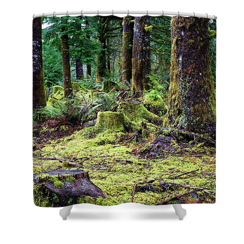Close Up Shower Curtain featuring the photograph Forest Understory Yellow Green Moss by Robert C Paulson Jr