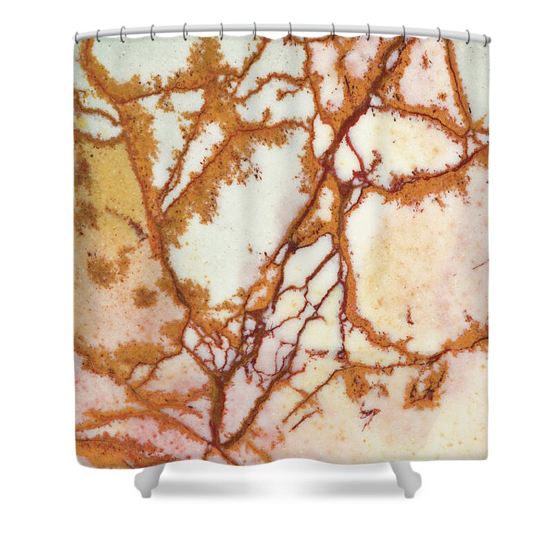 Abstract Shower Curtain featuring the photograph Dead Camel Jasper, Close #1 by Mark Windom