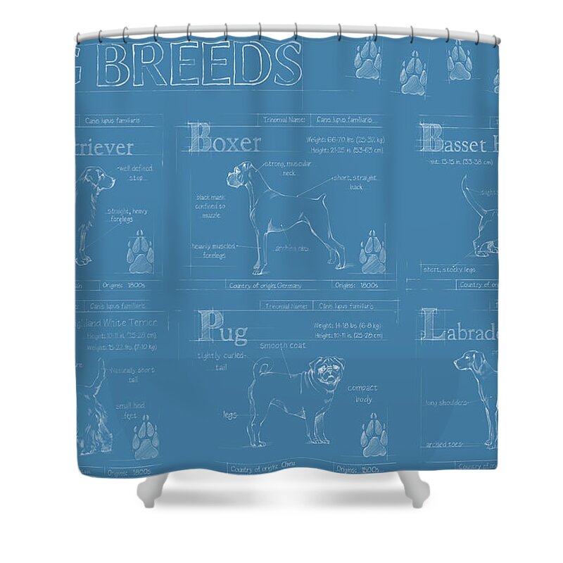 Pets Shower Curtain featuring the painting Dog Breeds Infograph #1 by Ethan Harper