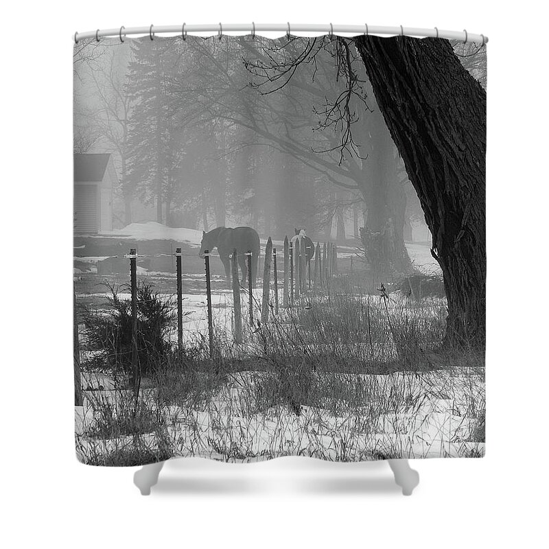 Winter Shower Curtain featuring the photograph Down the Lane #1 by Wild Thing