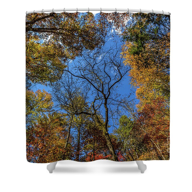 Smithgall-woods Shower Curtain featuring the photograph Dreaming in Smithgall Woods #2 by Bernd Laeschke