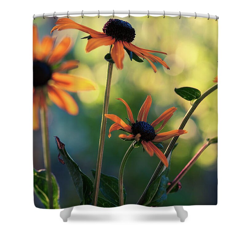 Echinacea Shower Curtain featuring the photograph Echinacea Garden #1 by Bonnie Bruno
