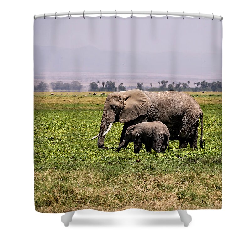 Elephant Shower Curtain featuring the photograph Elephant and Baby #1 by Roni Chastain