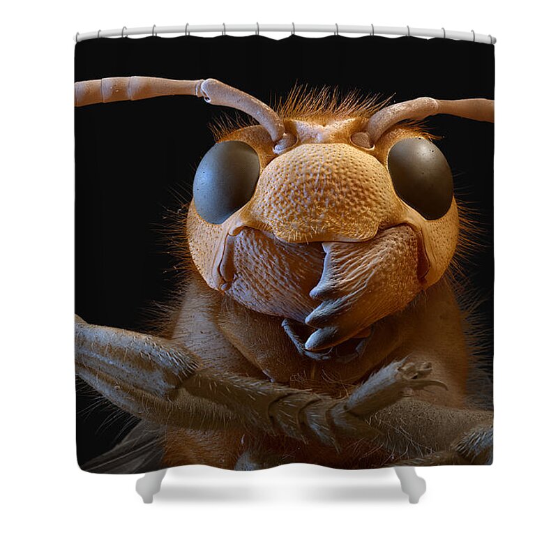 Animal Shower Curtain featuring the photograph European Hornet, Sem #1 by Meckes/ottawa
