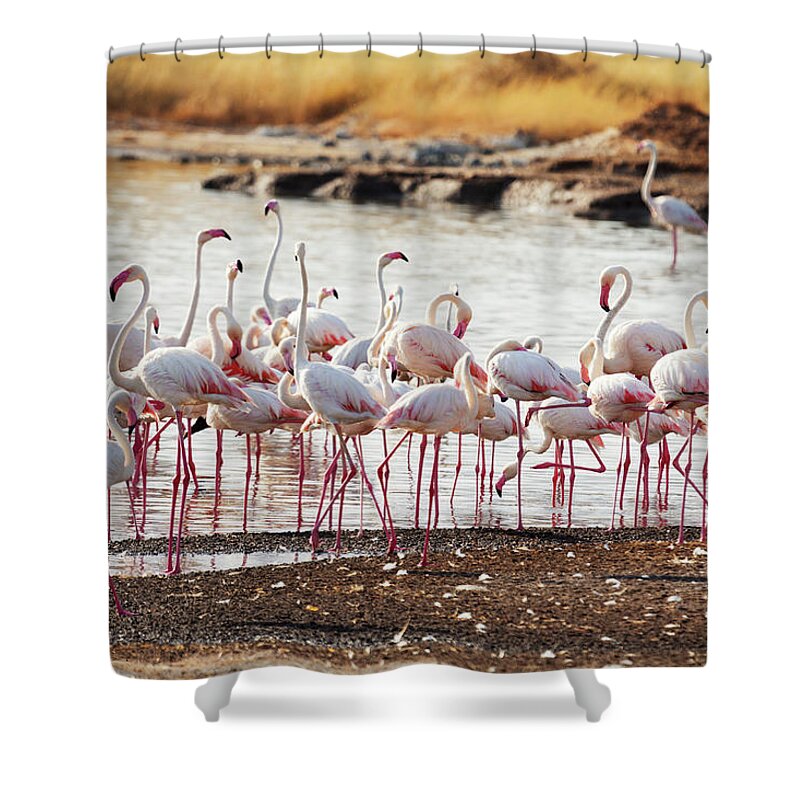 Kenya Shower Curtain featuring the photograph Flamingos Near Bogoria Lake, Kenya #1 by Ivanmateev
