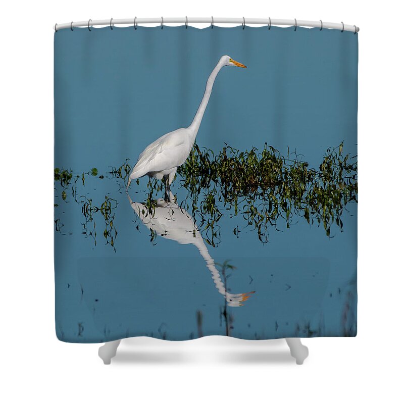 Gret Egret Shower Curtain featuring the photograph Great Egret #1 by Ken Stampfer
