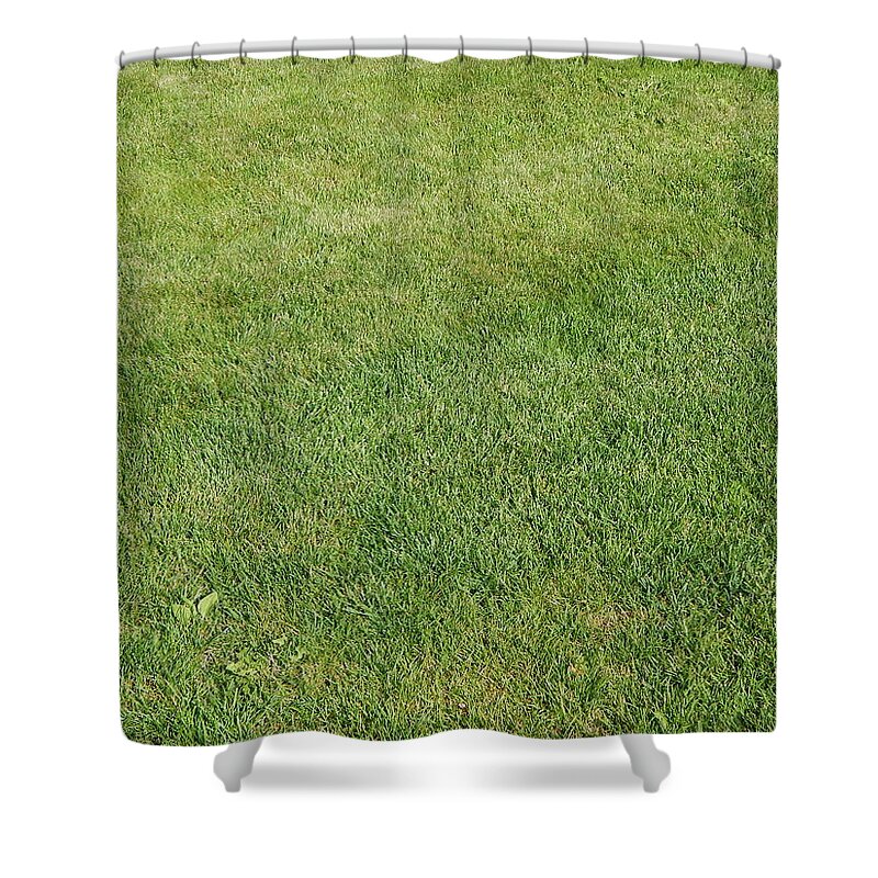 Landscape Shower Curtain featuring the photograph Green background and the landscape in the park #1 by Oleg Prokopenko