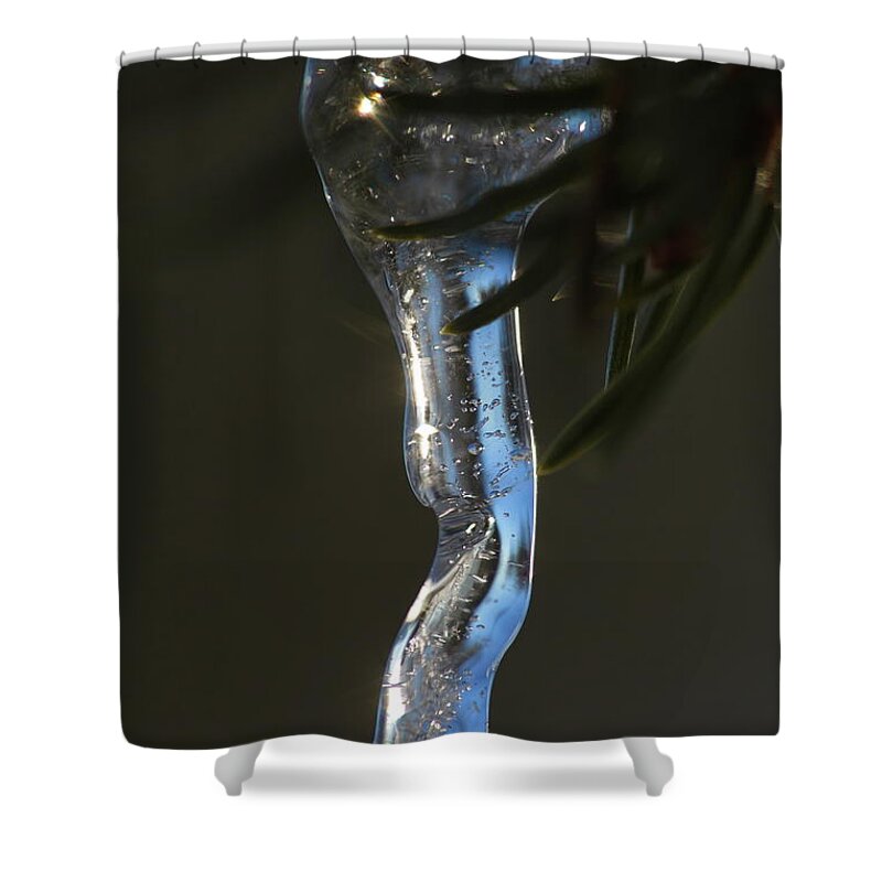 Abstract Shower Curtain featuring the photograph Icicle hanging from a spruce twig #1 by Intensivelight