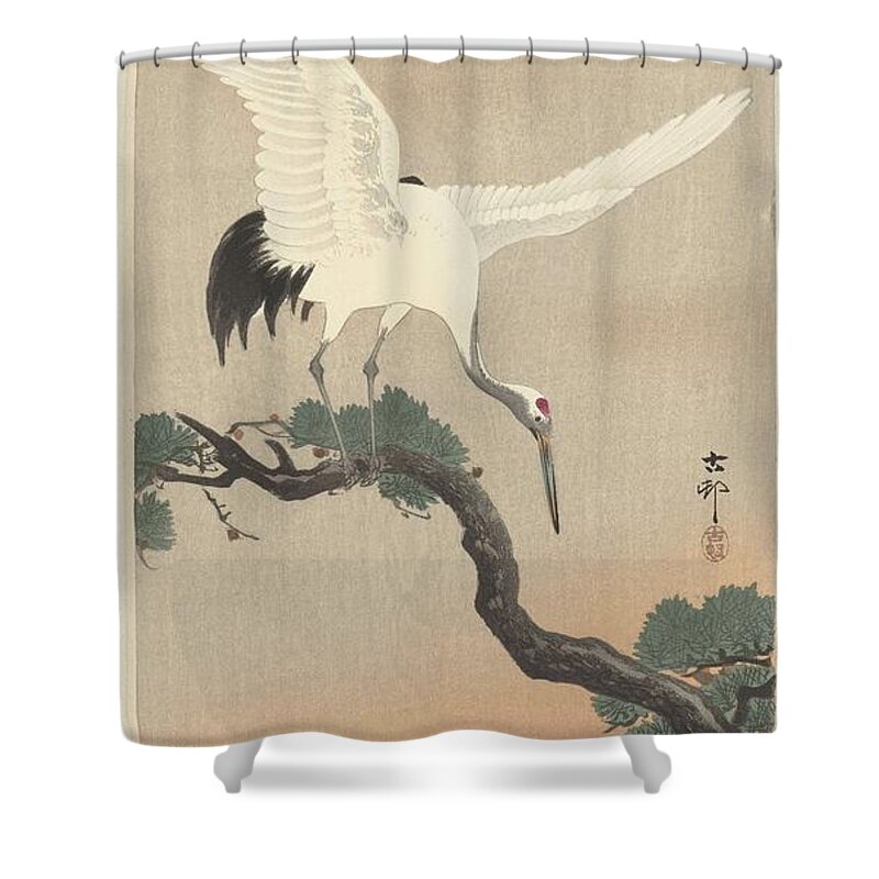 Flower Shower Curtain featuring the painting Japanese crane bird on branch of pine, Ohara Koson, 1900 - 1930 b #1 by Ohara Koson
