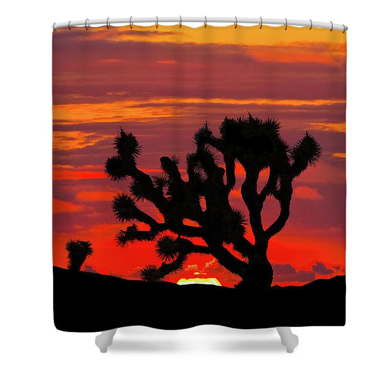 Arid Climate Shower Curtain featuring the photograph Joshua Tree at Sunset by Jeff Goulden