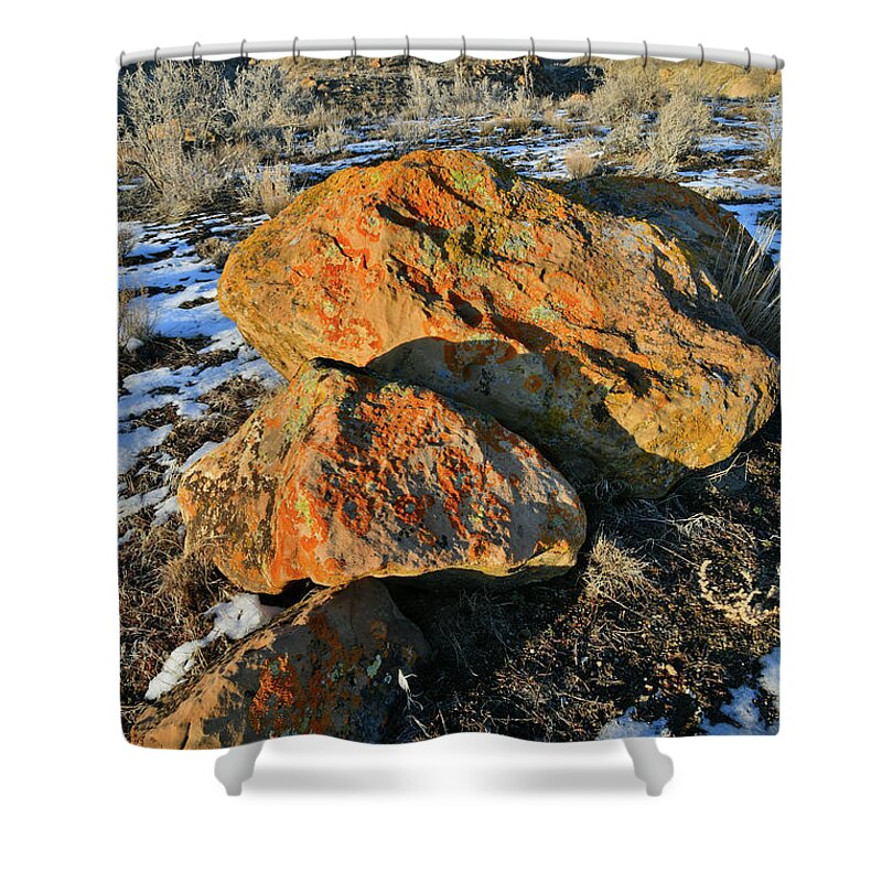Book Cliffs Shower Curtain featuring the photograph Last Light on Book Cliff Boulders #1 by Ray Mathis